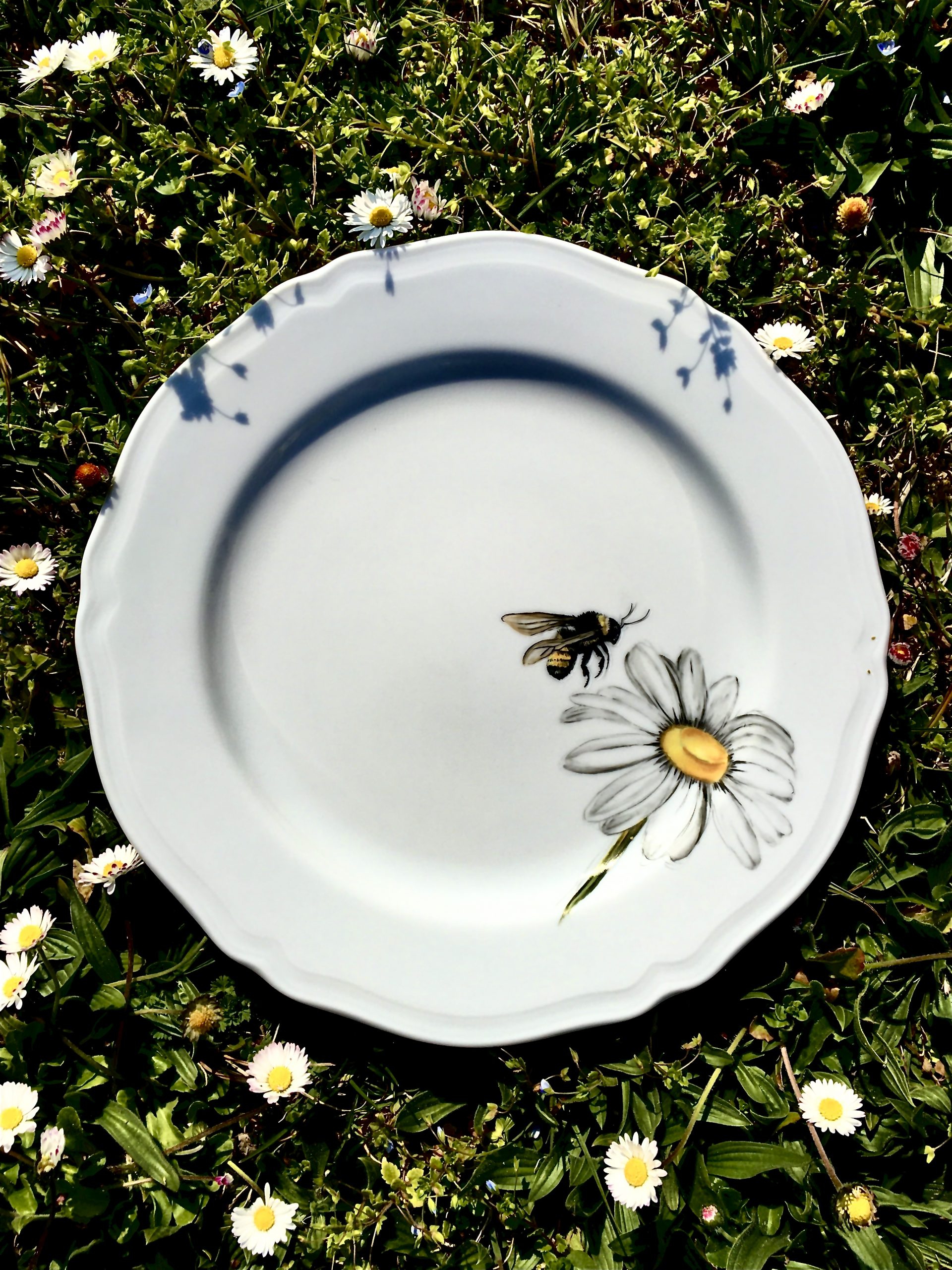 • Fiche mystère : « miss terre » • L’abeille, partie 2
